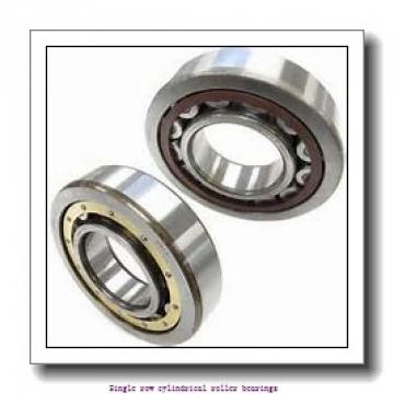 85 mm x 180 mm x 41 mm  SNR NJ.317.E.G15 Single row cylindrical roller bearings