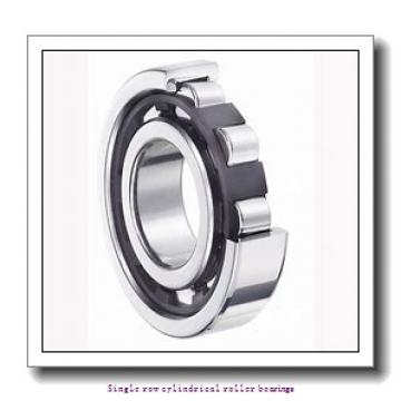 25 mm x 62 mm x 24 mm  NTN NJ2305ET2XE5C4 Single row cylindrical roller bearings