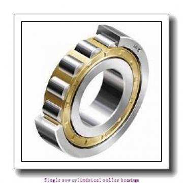 75 mm x 160 mm x 55 mm  NTN NJ2315C4 Single row cylindrical roller bearings