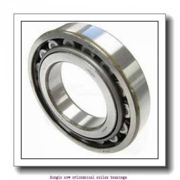 35 mm x 80 mm x 31 mm  NTN NJ2307ET2X Single row cylindrical roller bearings