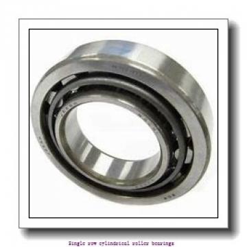 50 mm x 110 mm x 27 mm  NTN NJ310C3 Single row cylindrical roller bearings